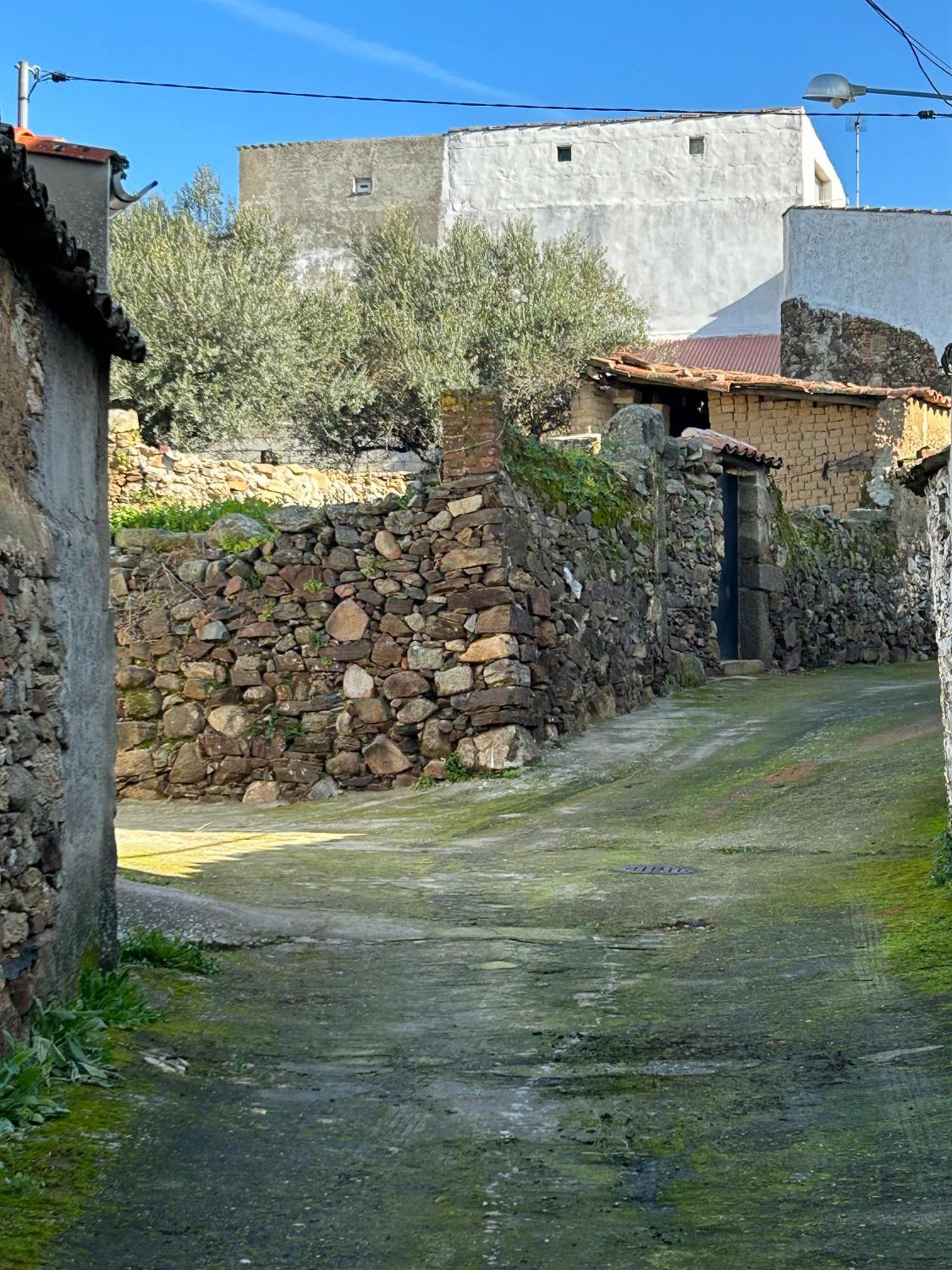 Casa Rural La Manzanilla Salvatierra de Santiago Экстерьер фото
