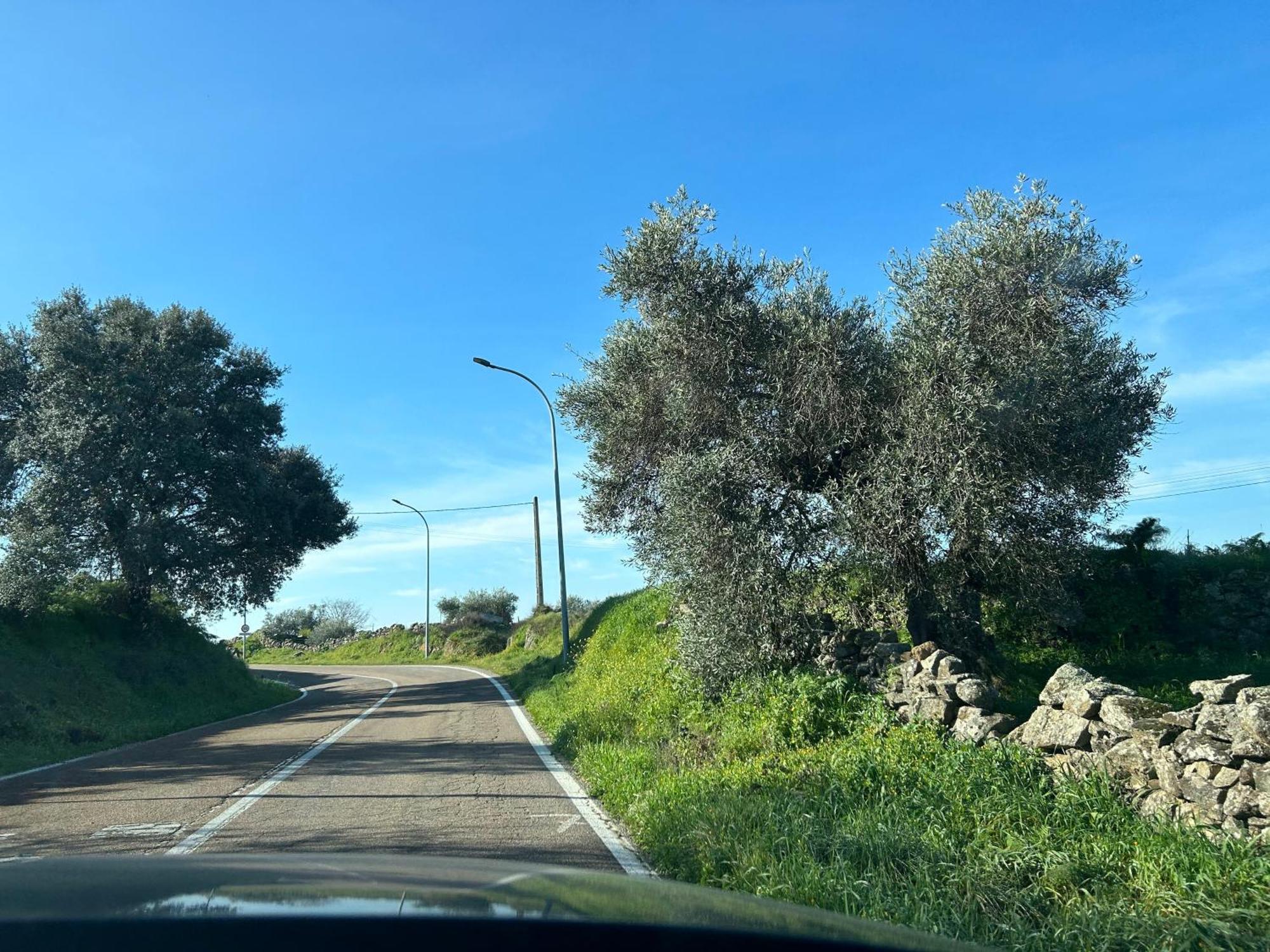 Casa Rural La Manzanilla Salvatierra de Santiago Экстерьер фото
